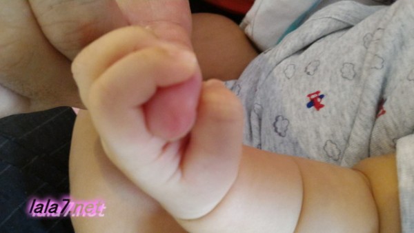 生後一か月半の孫赤ちゃんの手ジイジの指をにぎる