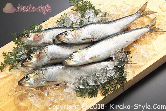 スプーン1杯のえごま油の効果!そのままでガッテンできる!背の青い魚代表イワシ