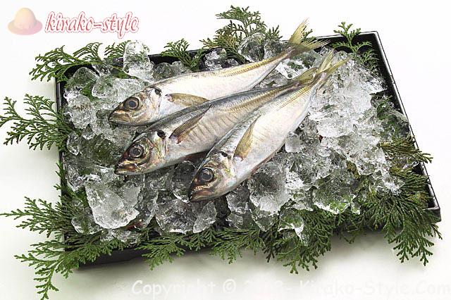 脳梗塞の予防になる食べ物が青魚なのは!善玉の質をあげるから!アジの画像