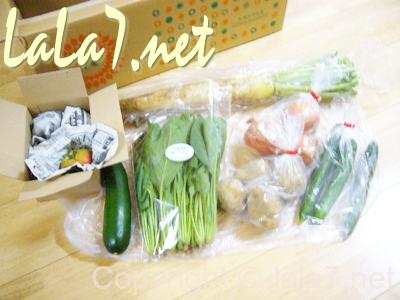 約8割が無農薬という安心もあり野菜本来の美味しさも味わえます。